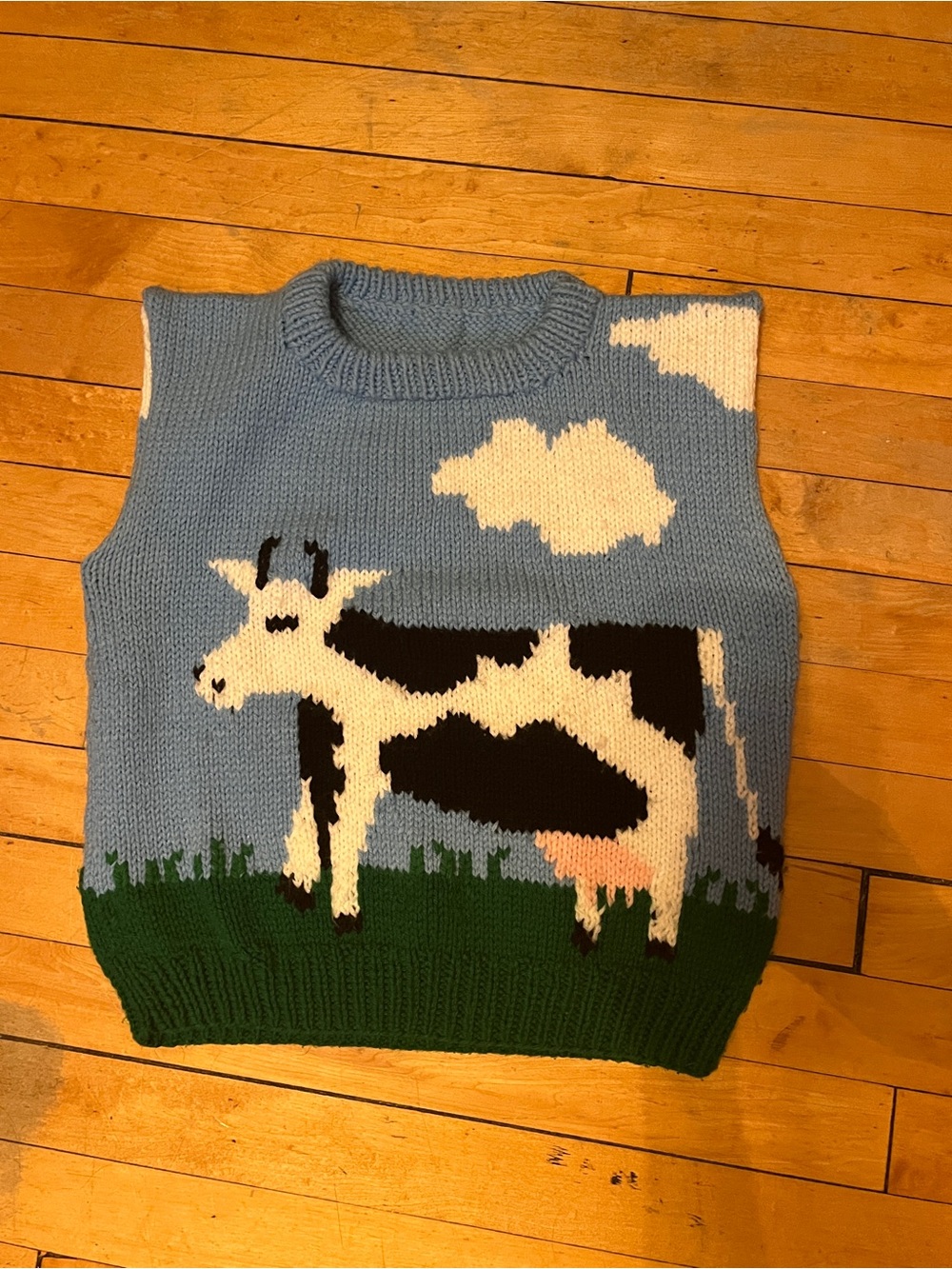 Cow Knit Sweater Vest in Sky Blue & Green